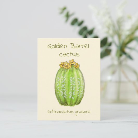 Carte postale de cactus Barrel Doré (Debout devant)