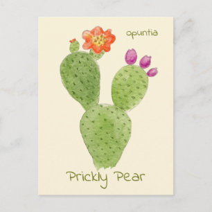 Carte postale de cactus Figuier de Barbarie