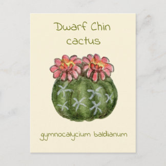 Carte postale de cactus Gymnocalycium Baldianum