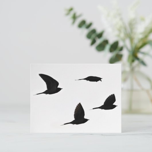 Carte postale de cadavre (Debout devant)