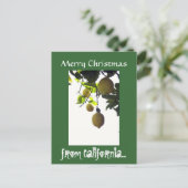 Carte postale de Californie (Debout devant)