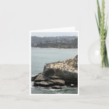 Carte postale de Californie 2