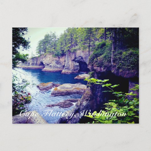 Carte postale de Cape Flattery (Devant)