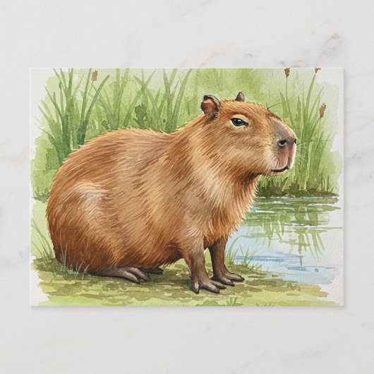 Carte postale de capybara mignon (Devant)