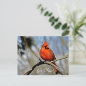 Carte postale de Cardinal (Voir Ohio) (Debout devant)