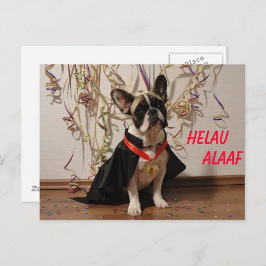 Carte postale de carnaval de Bouledogue Français (Devant / Derrière)