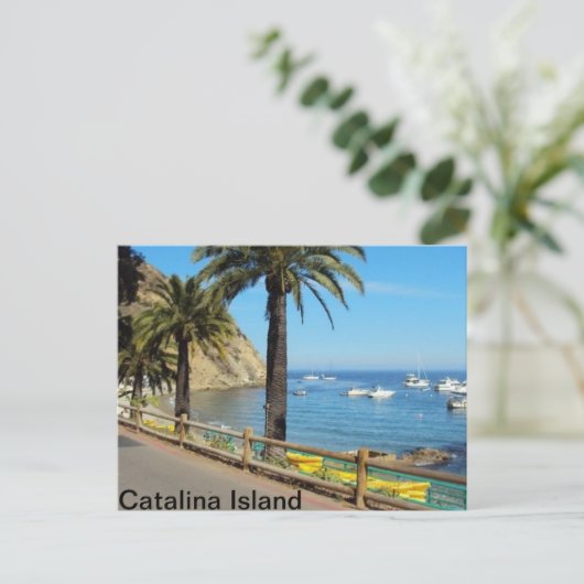 Carte postale de Catalina Island (Debout devant)