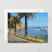 Carte postale de Catalina Island (Devant / Derrière)