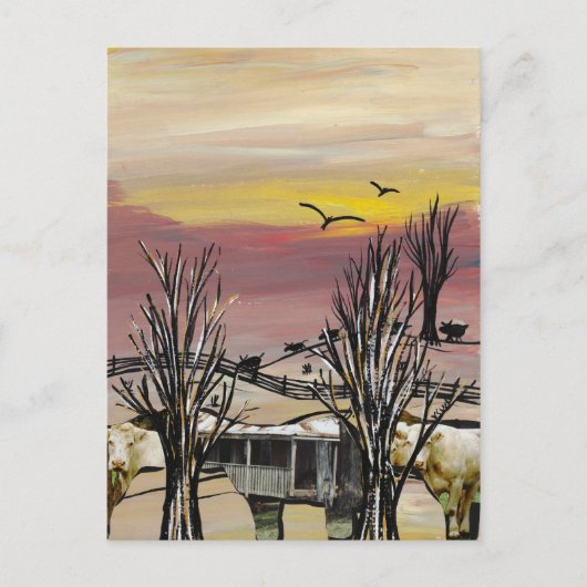 Carte postale de Cattle Country (Devant)
