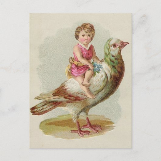 Carte postale de cavalier (Devant)