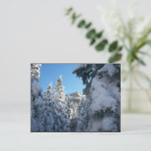 Carte Postale De cette façon, au sommet. (Debout devant)