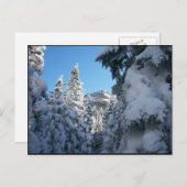 Carte Postale De cette façon, au sommet. (Devant / Derrière)