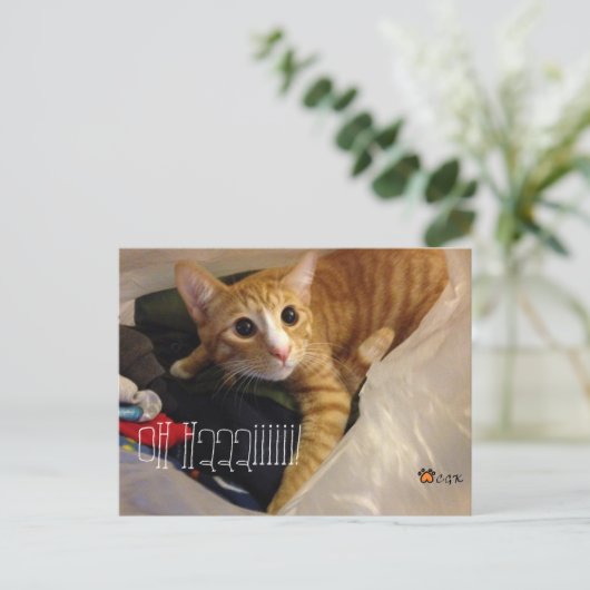 CARTE POSTALE DE CGK (Debout devant)