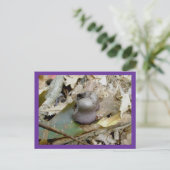 Carte postale de champignon Helmut violet (Debout devant)