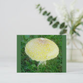 Carte postale de champignon jaune #3 (Debout devant)