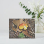 Carte postale de champignon jaune rouge minuscule (Debout devant)