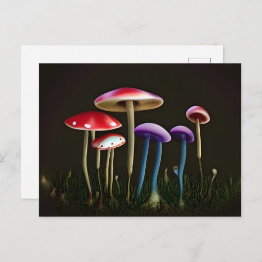 Carte postale de champignons colorés (Devant / Derrière)