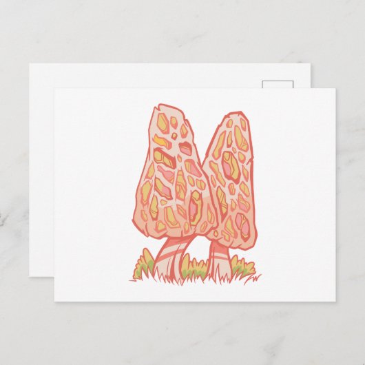 Carte postale de champignons morilles (Devant / Derrière)