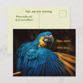 CARTE POSTALE DE CHANGEMENT D'ADRESSE - PERROQUET (Devant / Derrière)