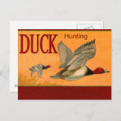 Carte postale de chasse au canard (Devant / Derrière)
