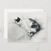 Carte postale de chat (Devant / Derrière)