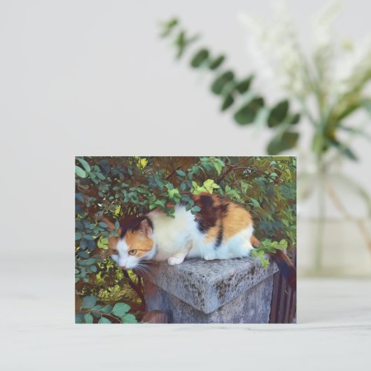 Carte postale de chat (Debout devant)