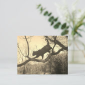 Carte postale de chat (Debout devant)