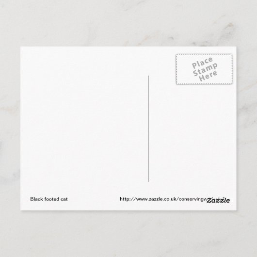 Carte postale de chat à pied noir (Dos)