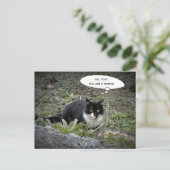 Carte postale de chat amusant (Debout devant)