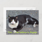 Carte postale de chat avec humour disant (Devant / Derrière)