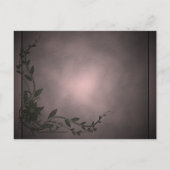 Carte postale de chat blanc magique (Dos)