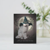 Carte postale de chat blanc magique (Debout devant)