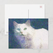 Carte postale de chat blanc texturé (Devant / Derrière)