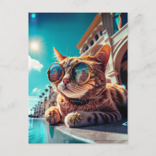 Carte postale de chat californien portant des lune