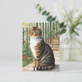 Carte postale de chat de dessin (Debout devant)