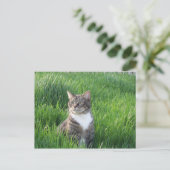 Carte postale de chat de garçon Nature (Debout devant)