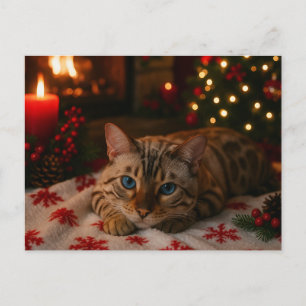 Carte postale de chat de Noël aux yeux bleus au co