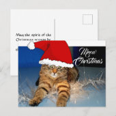 Carte postale de chat de Noël mignonne avec voeux  (Devant / Derrière)