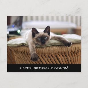 Carte postale de chat de Siamese