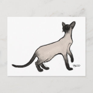 Carte postale de chat de Siamese