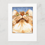 Carte postale de chat - DNM (Devant)
