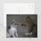 Carte postale de chat drôle Boop (Devant / Derrière)