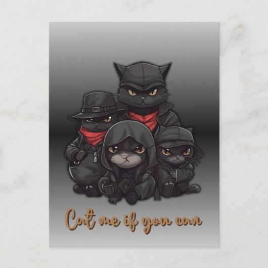 Carte postale de chat gangster | Chatte-moi si tu  (Devant)