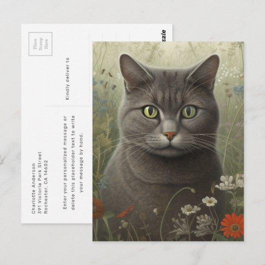 Carte postale de chat gris dans un jardin (Devant / Derrière)