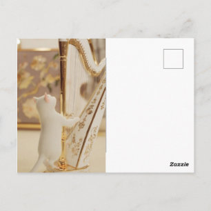 Carte postale de chat harpiste fantaisiste