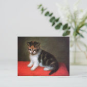 Carte postale de chat Kitty : Kitten par George St (Debout devant)