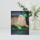 Carte postale de chat Leprechaun de la Saint Patri (Debout devant)
