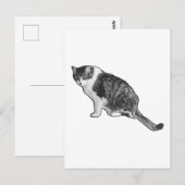 Carte postale de chat manga offrant un plaisir gra (Devant / Derrière)