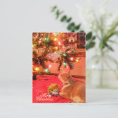 Carte postale de chat Noël (Debout devant)