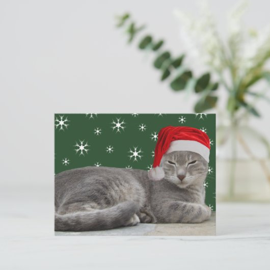 Carte postale de chat Noël (Debout devant)